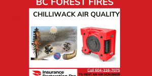 Forest Fires and air scrubbers